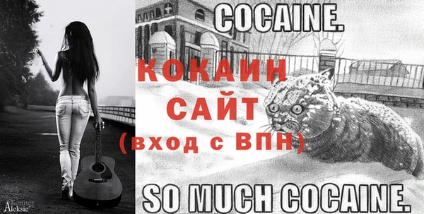 крисы Алзамай