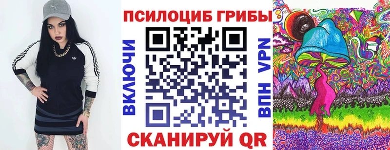 Псилоцибиновые грибы мухоморы  цена наркотик  Армянск 